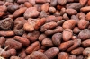 Cacao