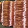 copper berry